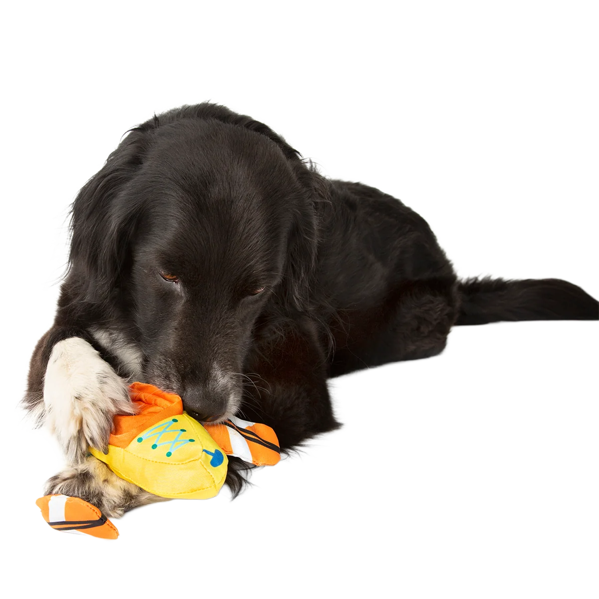 Off Track Kayak Plush Tug Dog Toy - Image 4