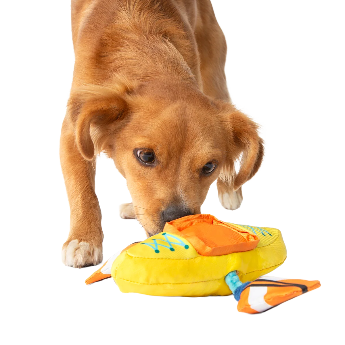 Off Track Kayak Plush Tug Dog Toy - Image 5