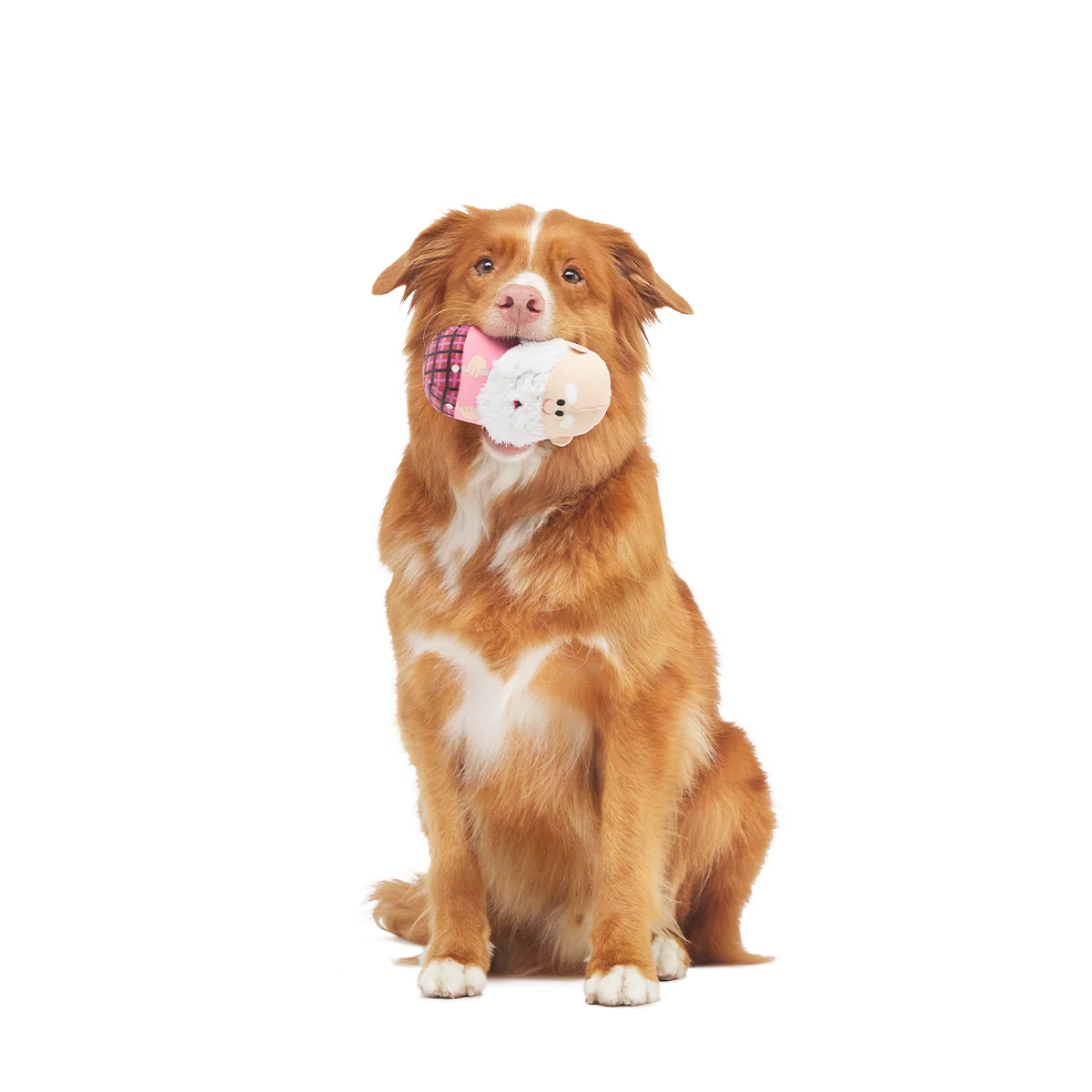 Ol' Kris Kringle™ Plush Multi-Part + Enrichment Dog Toy - Image 7