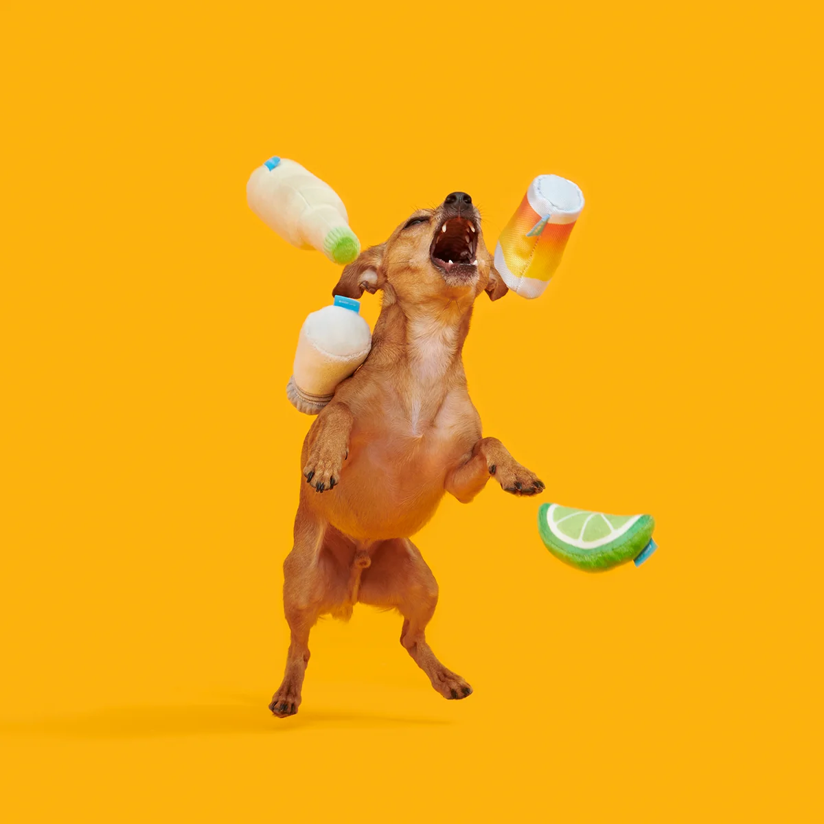 One Tugquila, Chew Tugquila Plush Multi-Part Dog Toy - Image 3