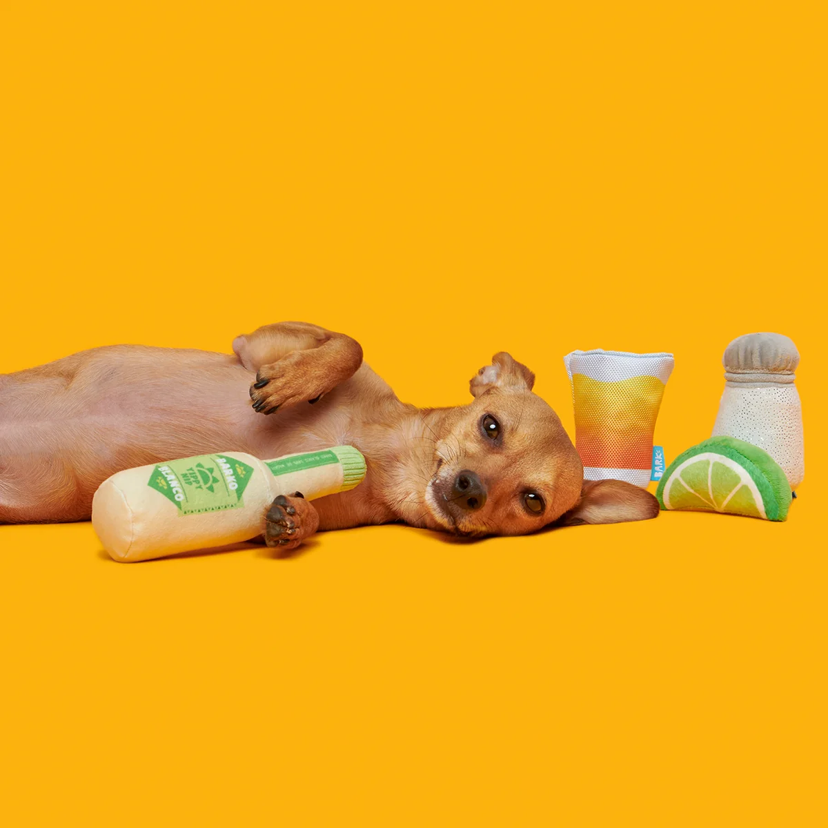 One Tugquila, Chew Tugquila Plush Multi-Part Dog Toy - Image 6
