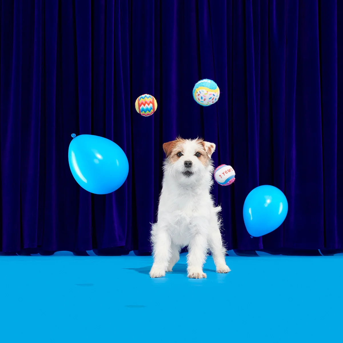 Party Fetchers Plush Multi-Part Fetch Dog Toy - Image 4