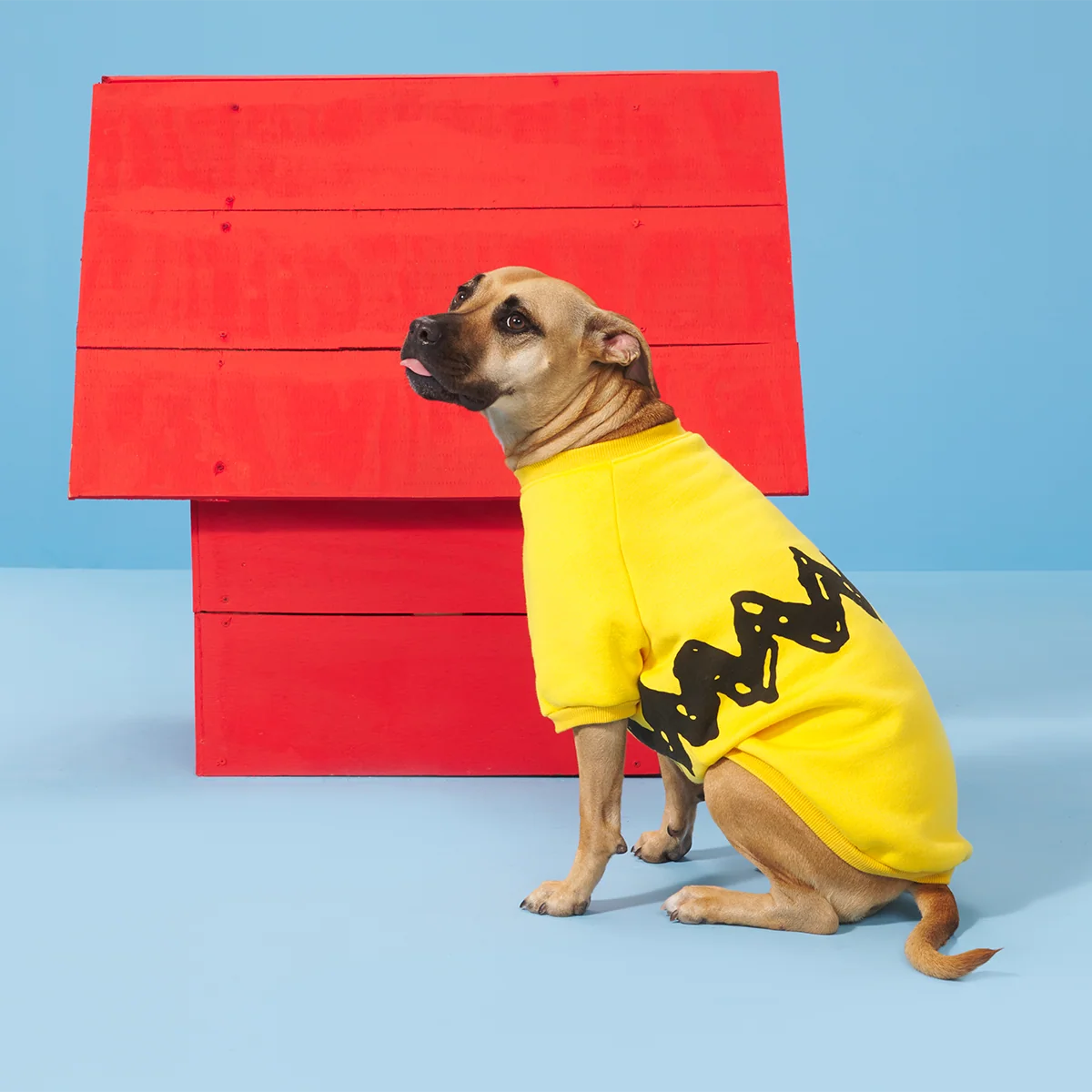 Peanuts Dog Sweatshirt - Image 7