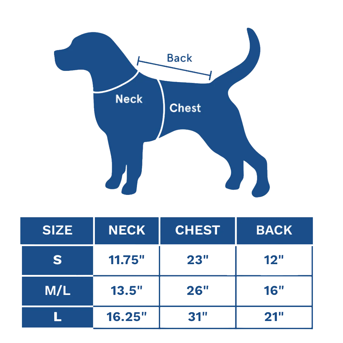 Peanuts Dog Sweatshirt - Image 8