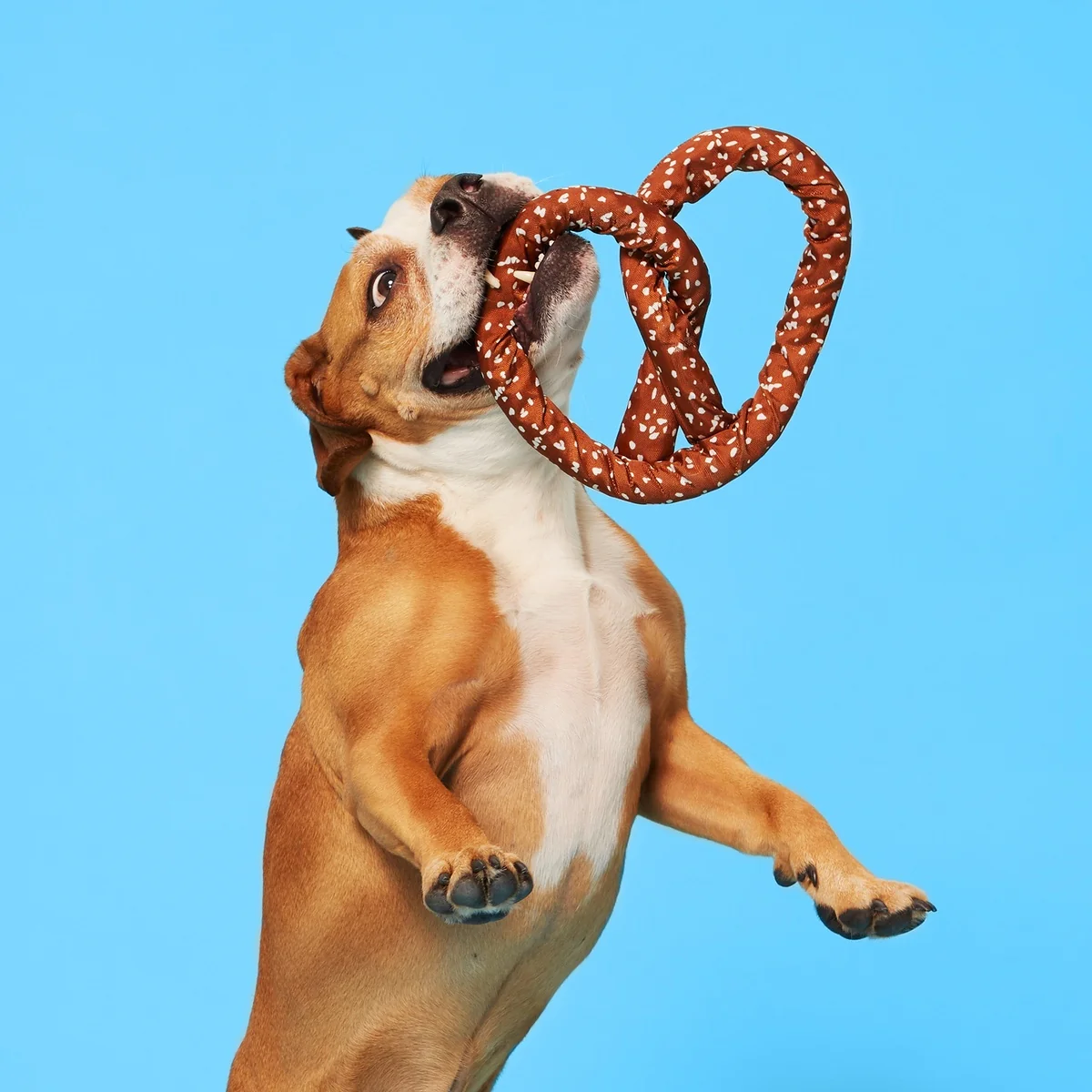 Pepper's Pretzel Plush Tug Dog Toy - Image 3