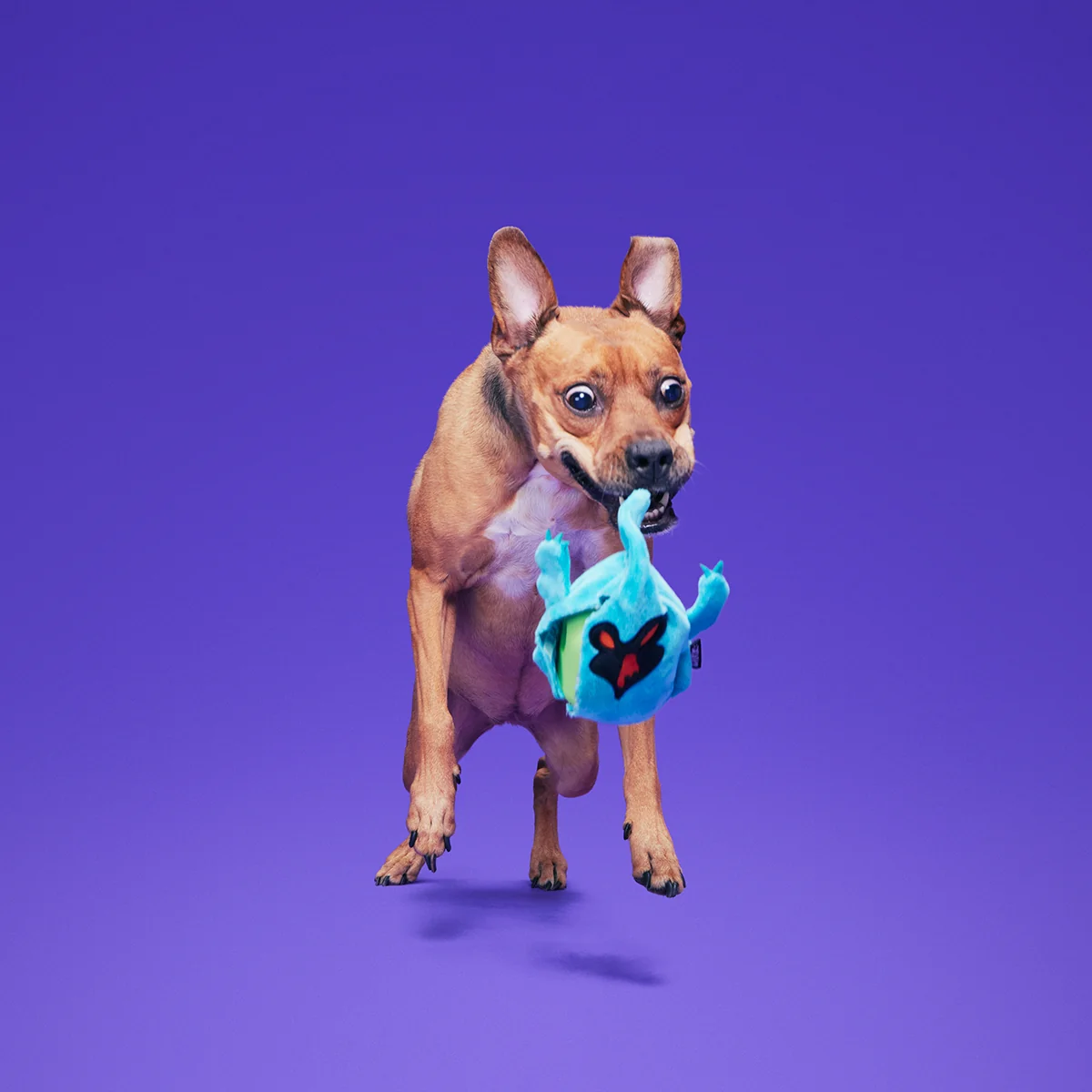 Phantom Shadows™ Super Chewer Durable 2-in-1 + Enrichment Dog Toy - Image 3