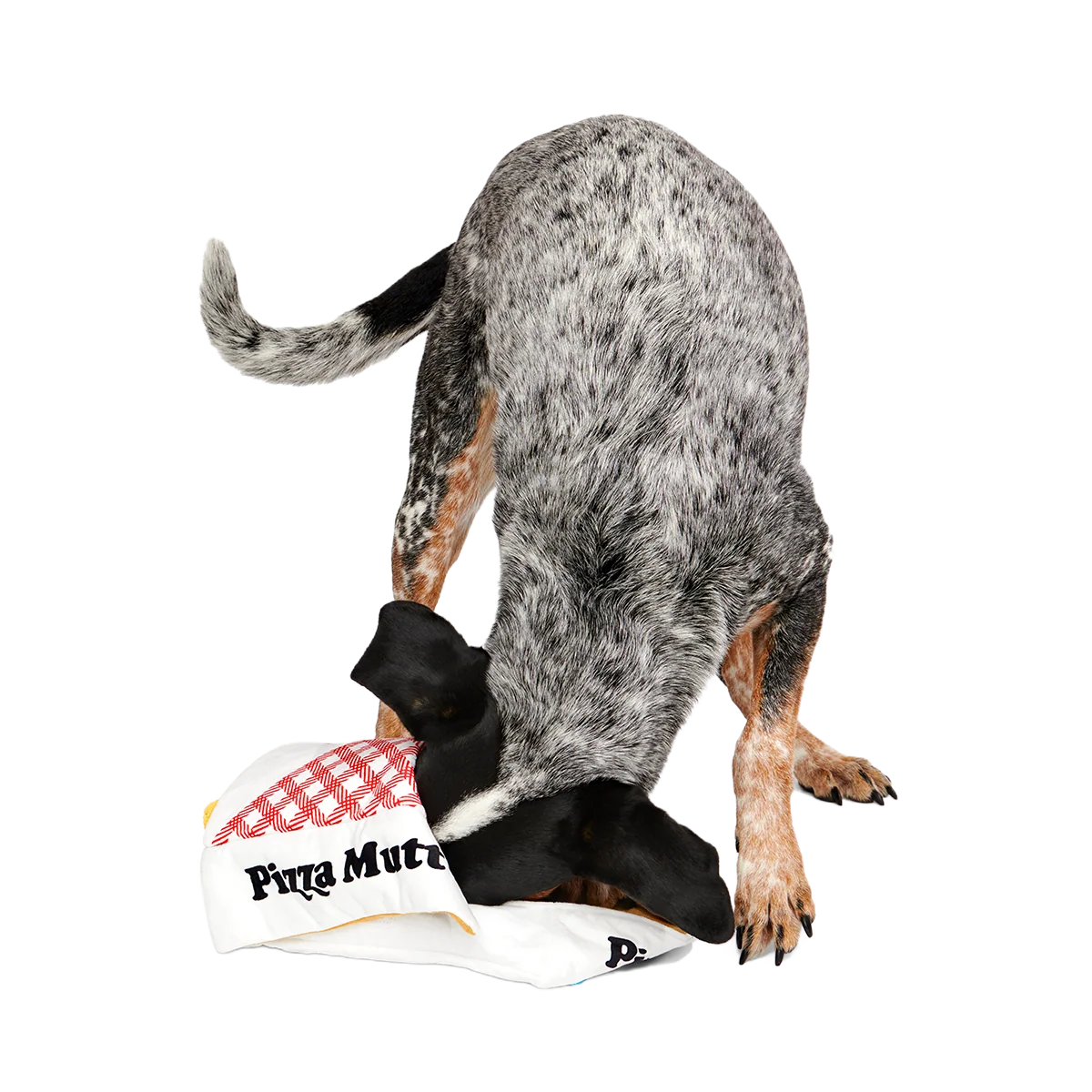 Pizza Pawty Plush Multi-Part + Enrichment Dog Toy - Image 3