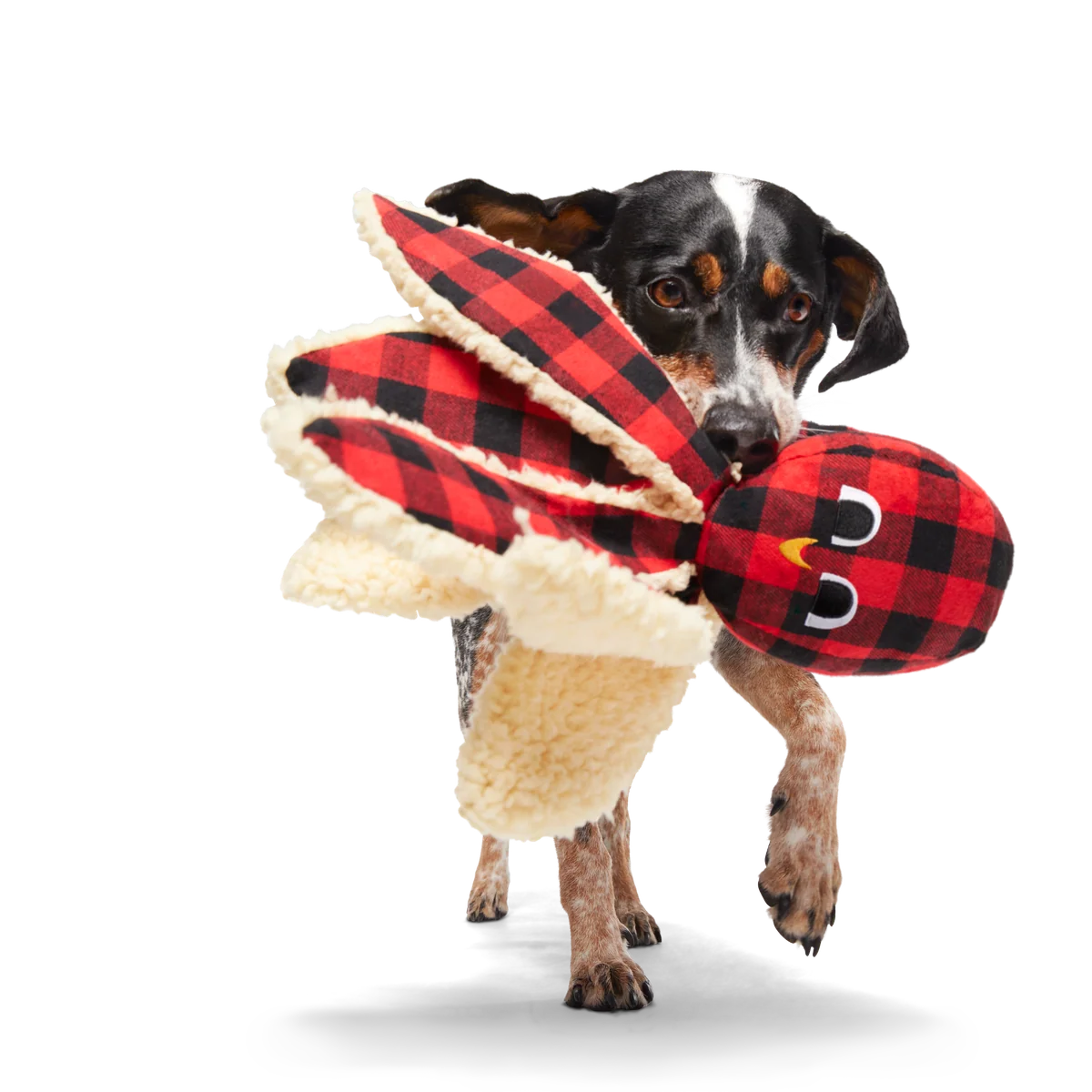 Plaid Ollie the Octopus Whip-n-Flip Plush Tug Dog Toy - Image 3