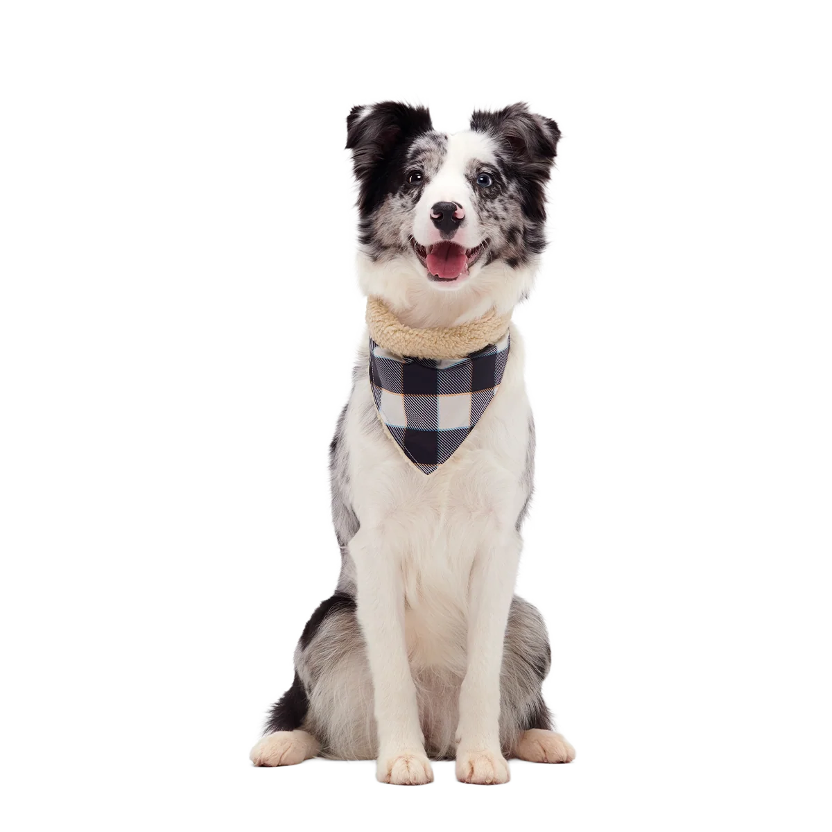 Plaid To The Bone Dog Bandana - Image 3
