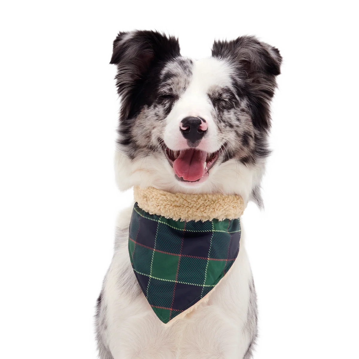 Plaid To The Bone Dog Bandana - Image 7