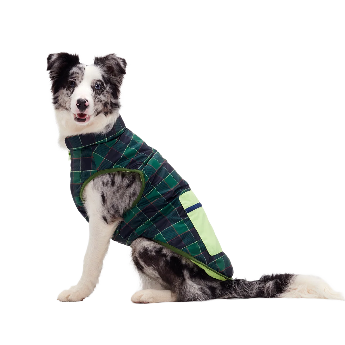 Plaid To The Bone Dog Puffer Vest - Image 8