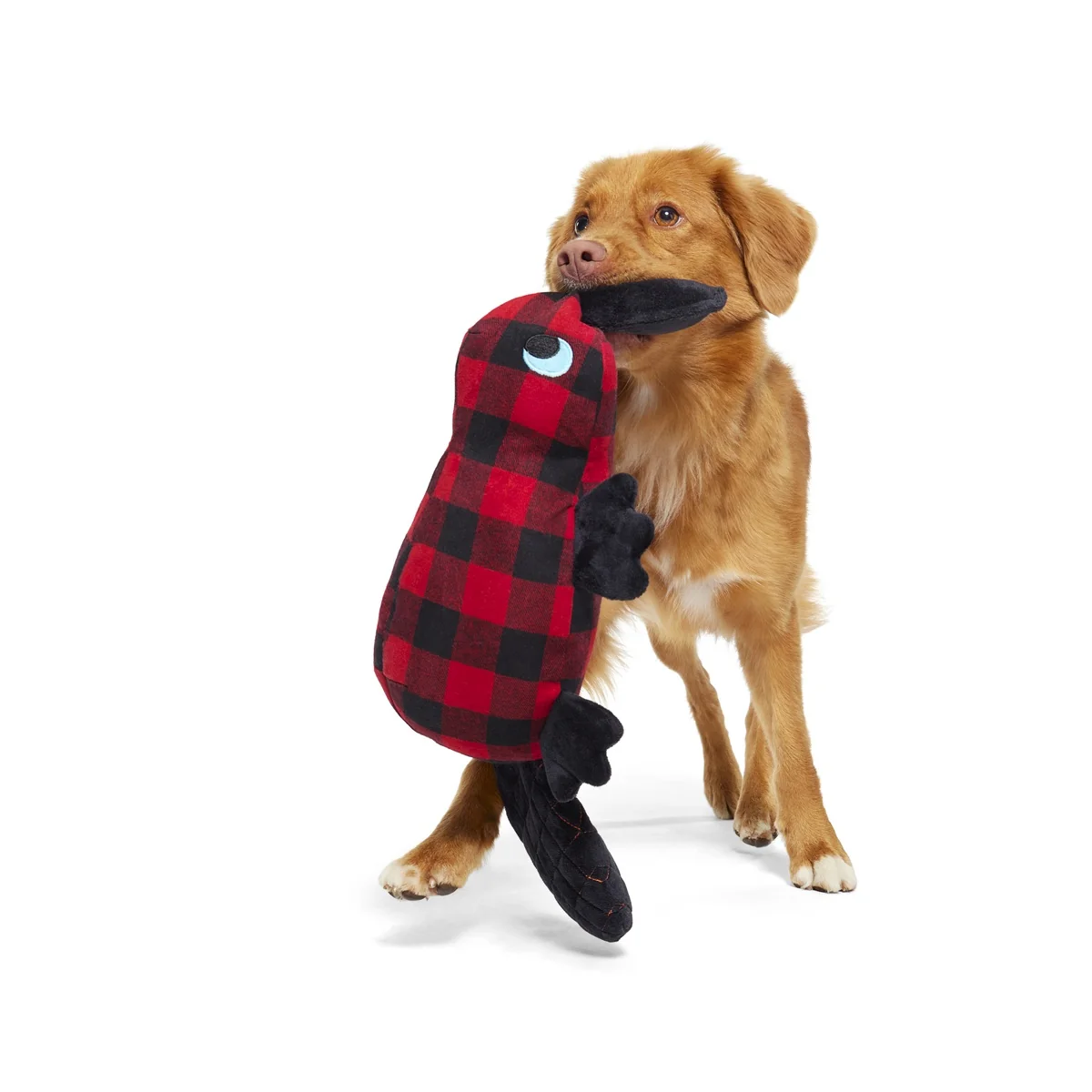 Plaidypus Plush XXL Tug Dog Toy - Image 3