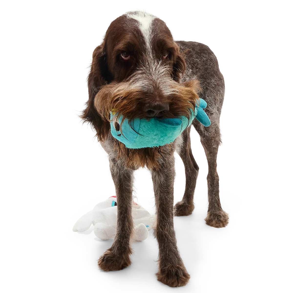 Polar Bear Vortex Plush Extra-Large + 2-in-1 Dog Toy - Image 4