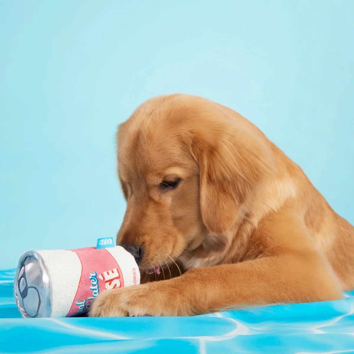 Pool Water Rose Plush Dog Toy - Image 4