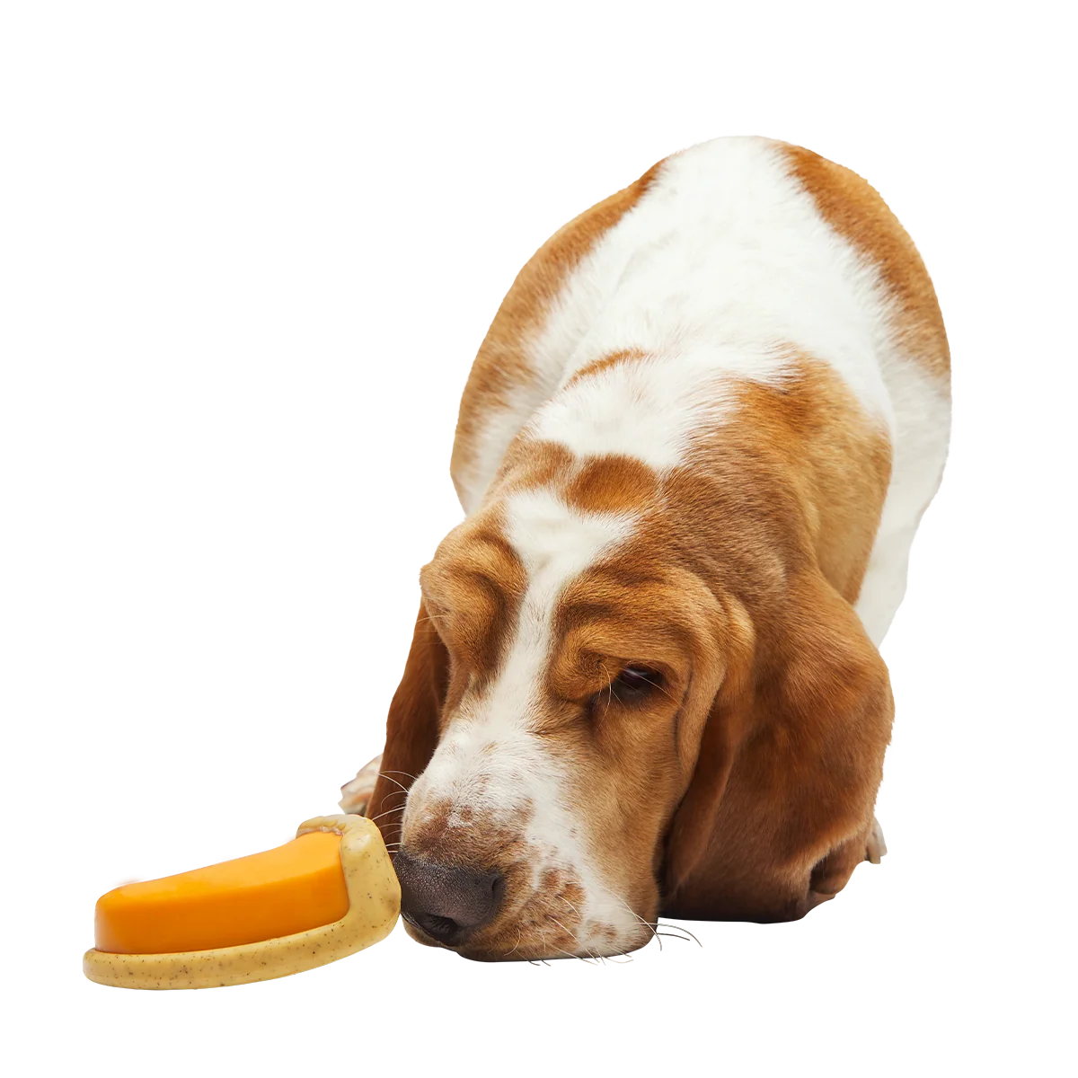 Powered Up Pie Super Chewer Durable Gnaw Dog Toy - Image 2