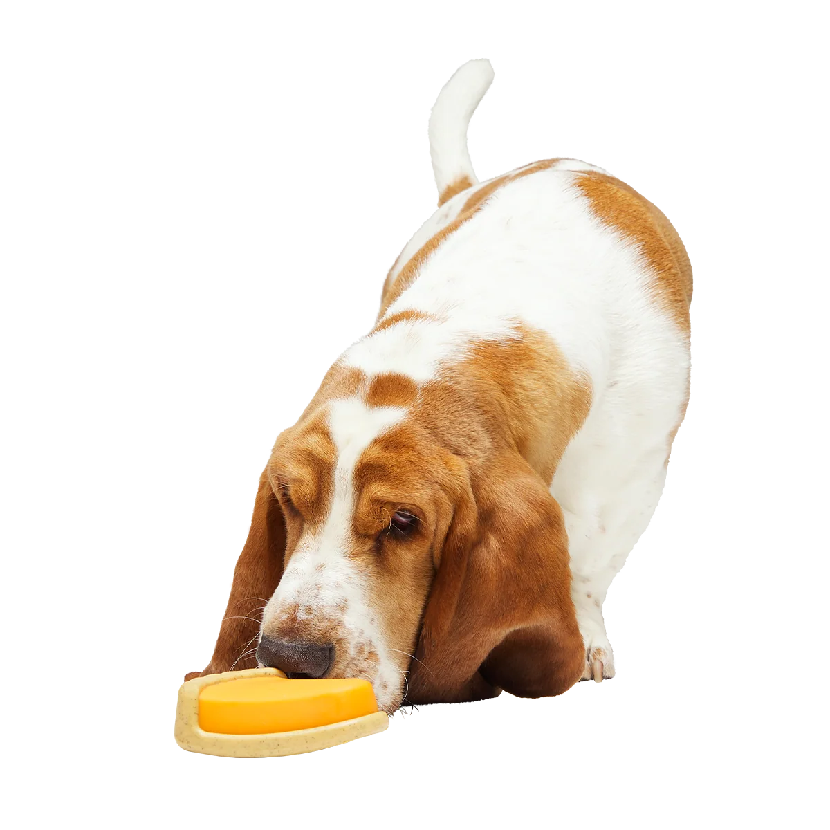 Powered Up Pie Super Chewer Durable Gnaw Dog Toy - Image 4