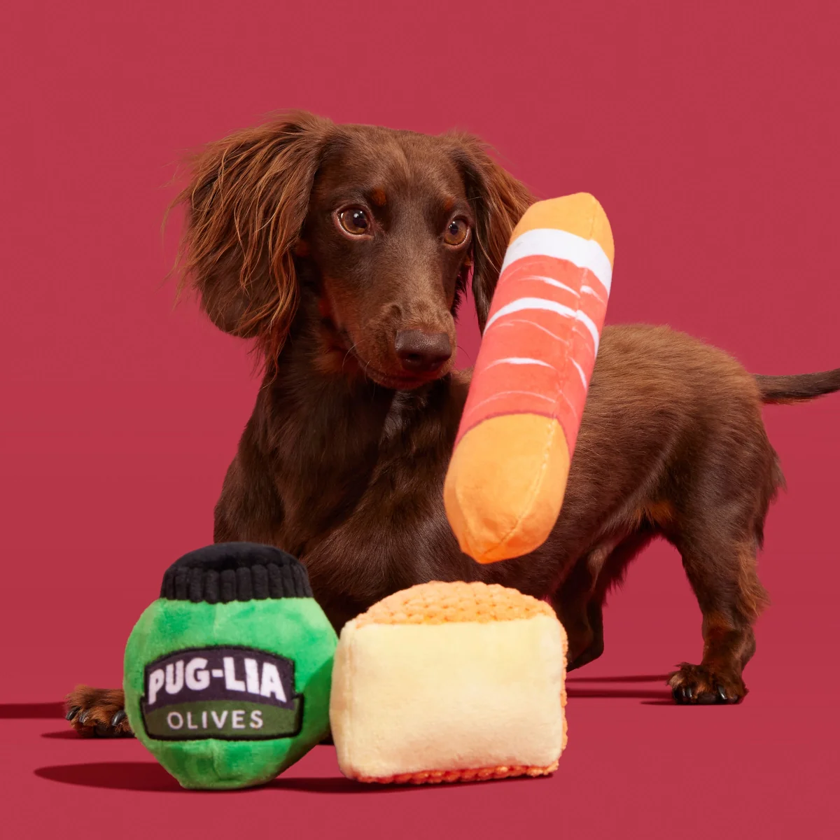 Primo Pawsto Plush Multi-Part Dog Toy - Image 4