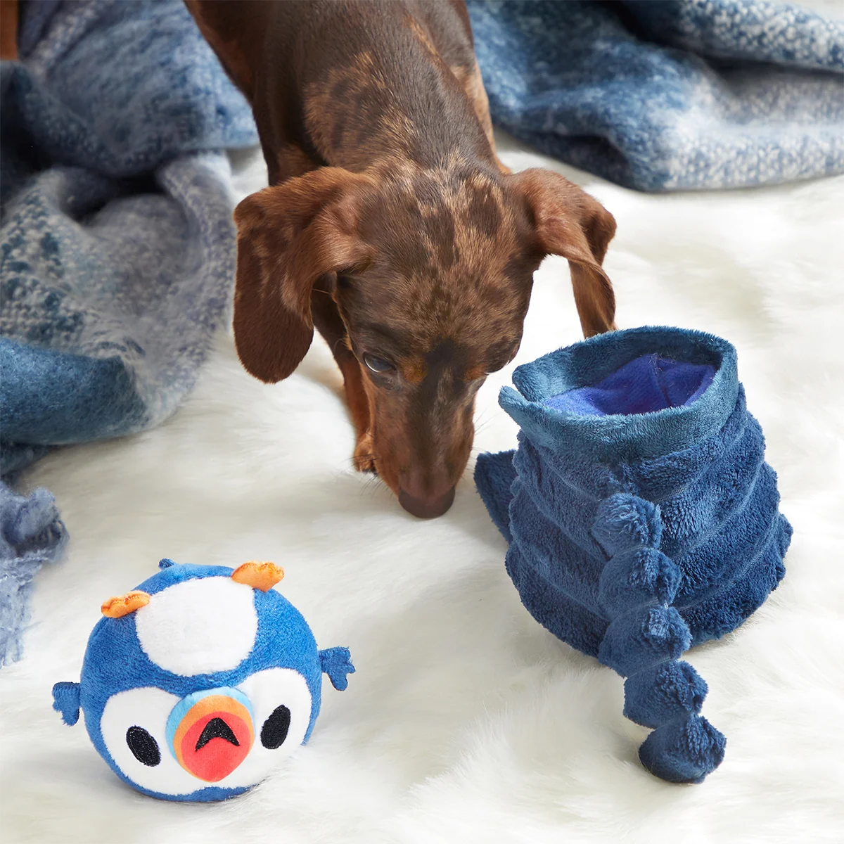 Puffer Puffin Plush Multi-Part + Enrichment Dog Toy - Image 4