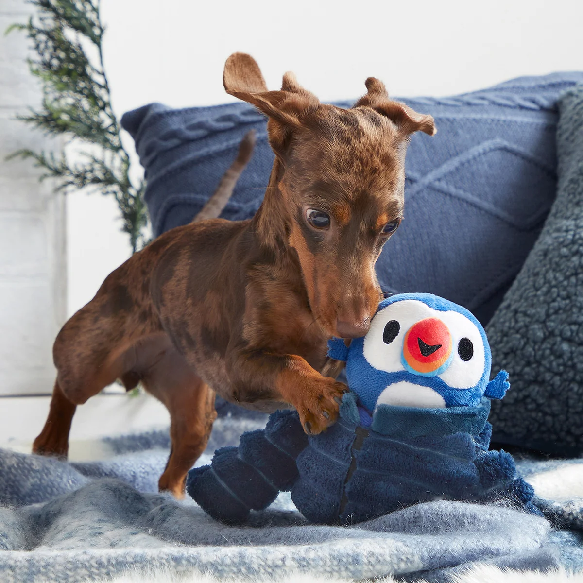 Puffer Puffin Plush Multi-Part + Enrichment Dog Toy - Image 5