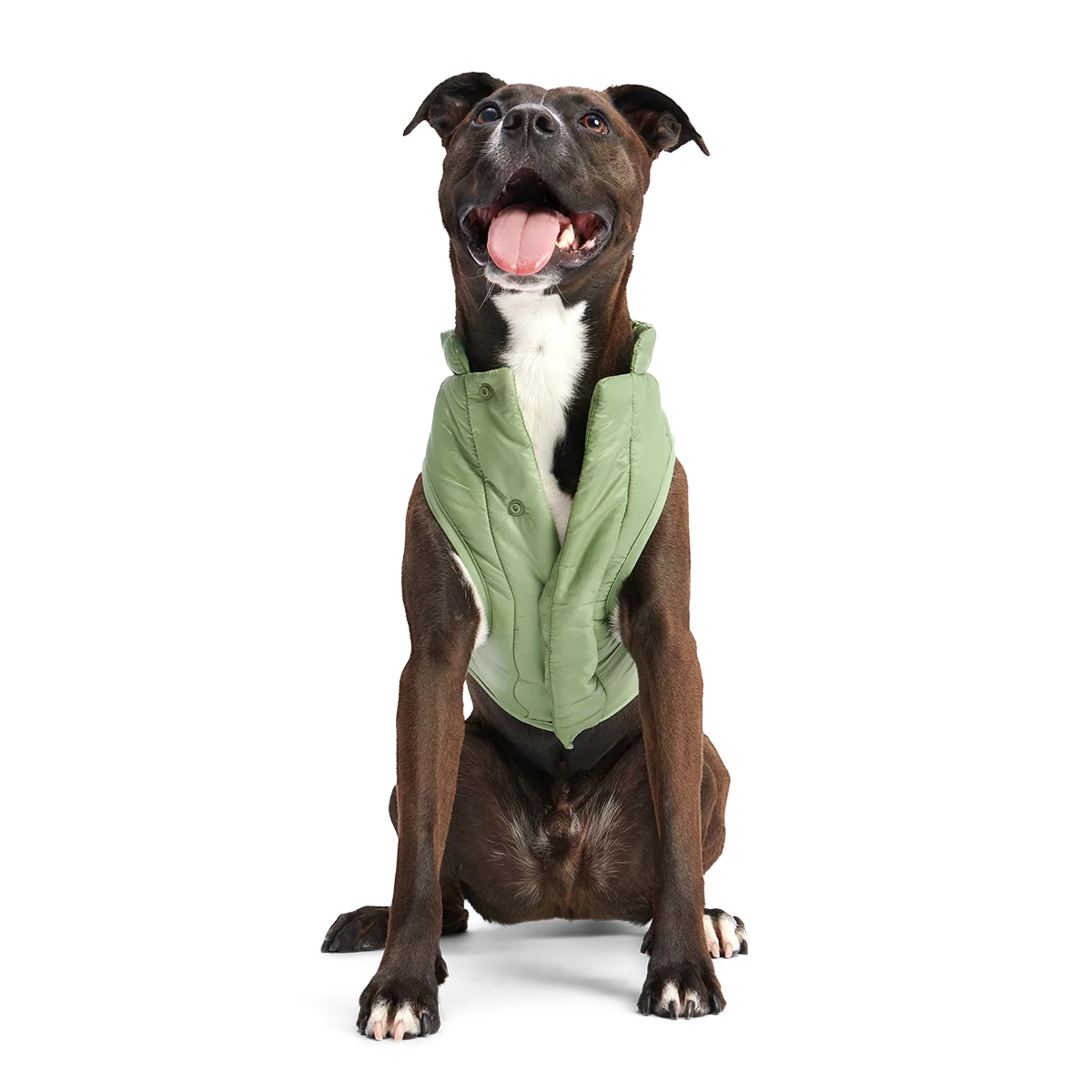 Puffer Dog Vest - Image 15