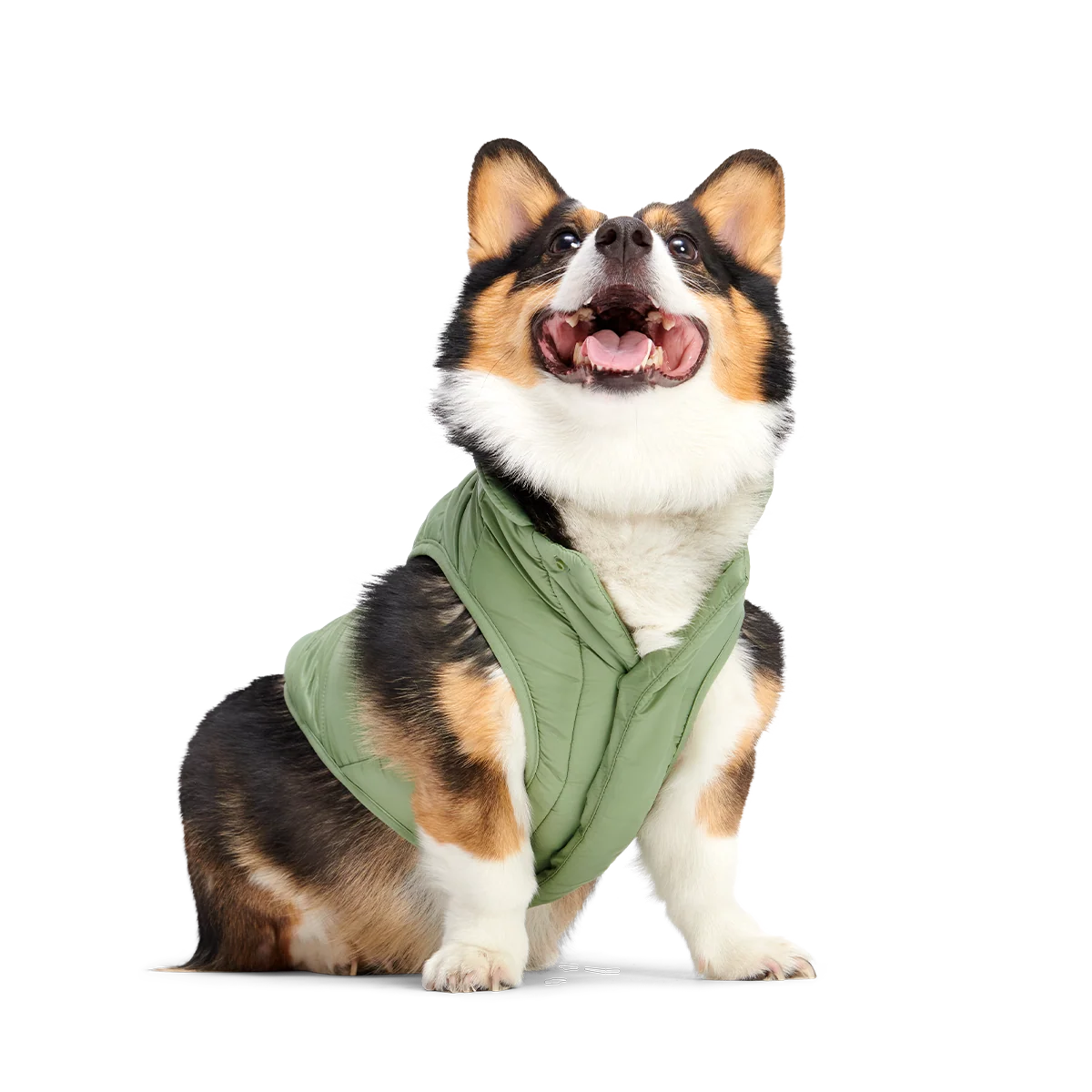 Puffer Dog Vest - Image 17