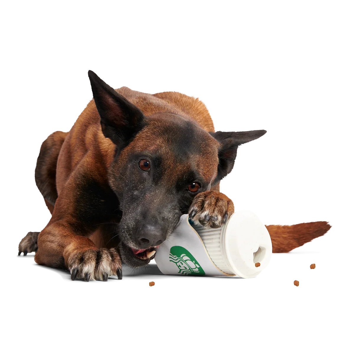 Pupkin Spice Yappuccino Super Chewer Durable 2-in-1 + Enrichment Dog Toy - Image 5