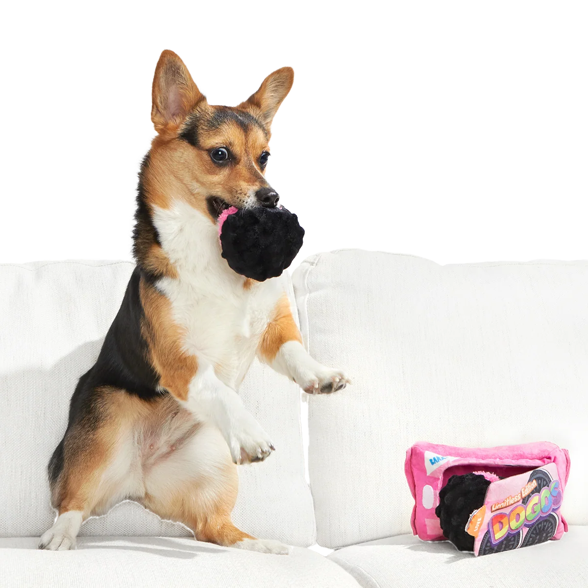 Rainbow Dogo Dunkers Plush Multi-Part + Enrichment Dog Toy - Image 4