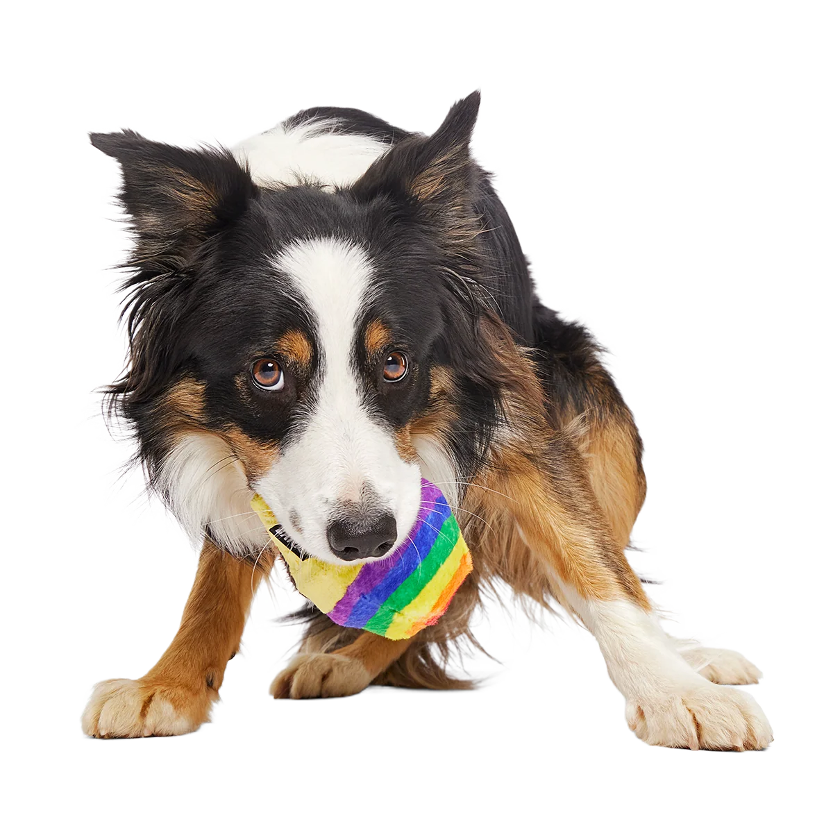 Rainbow-wow Sherbert Super Chewer Durable 2-in-1 + Enrichment Dog Toy - Image 3
