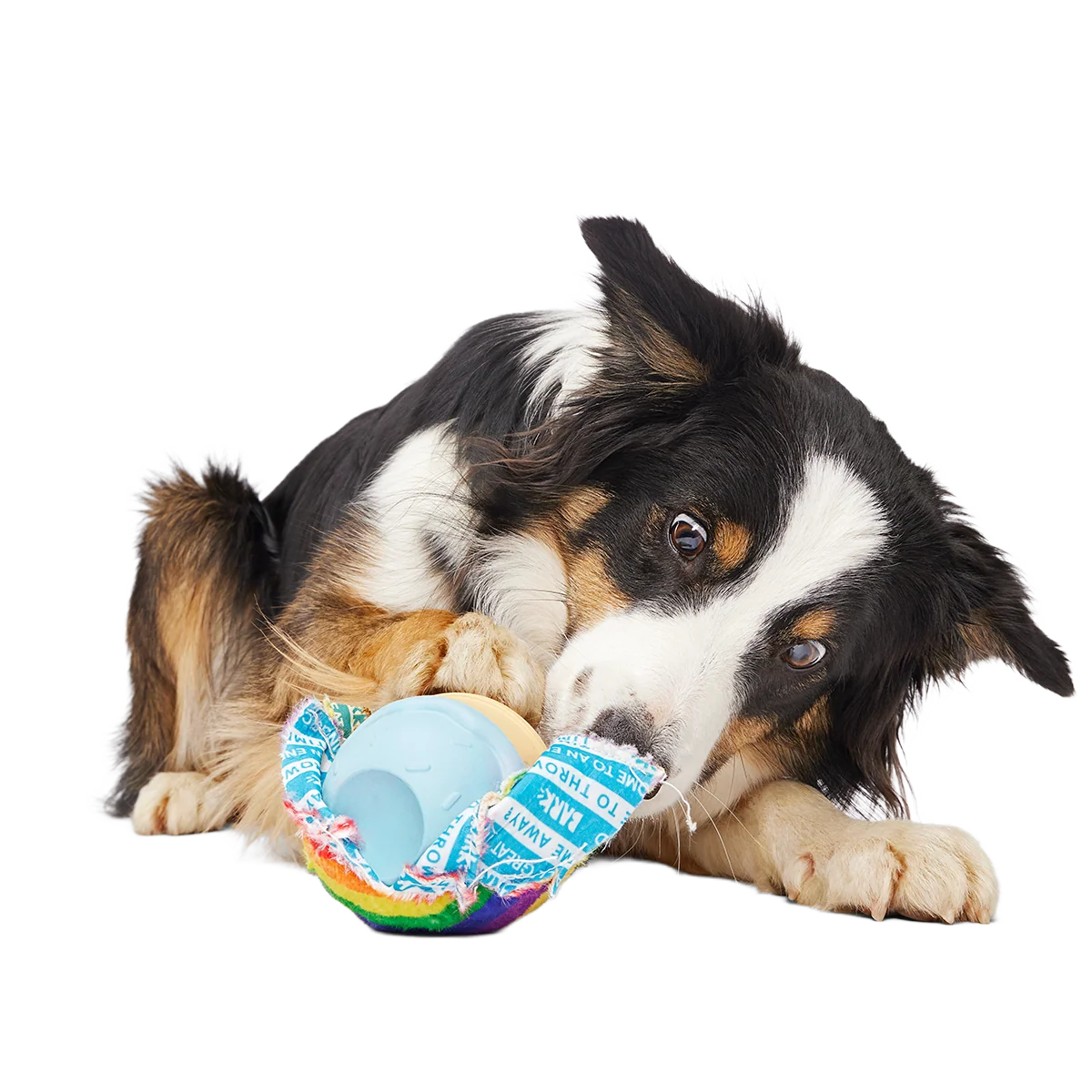 Rainbow-wow Sherbert Super Chewer Durable 2-in-1 + Enrichment Dog Toy - Image 4
