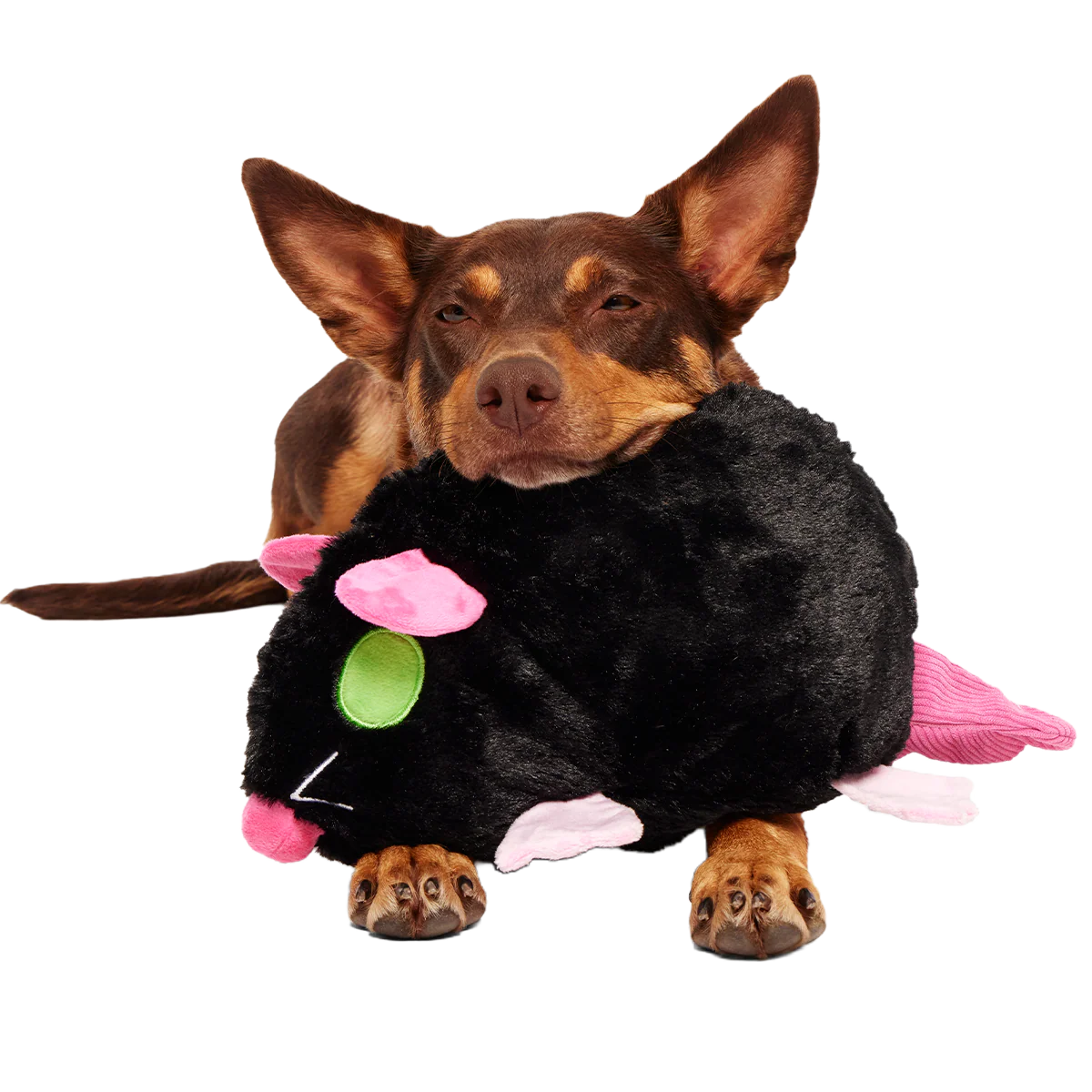 Rat-A-Chewy Plush Extra-Large + 2-in-1 + Tug Dog Toy