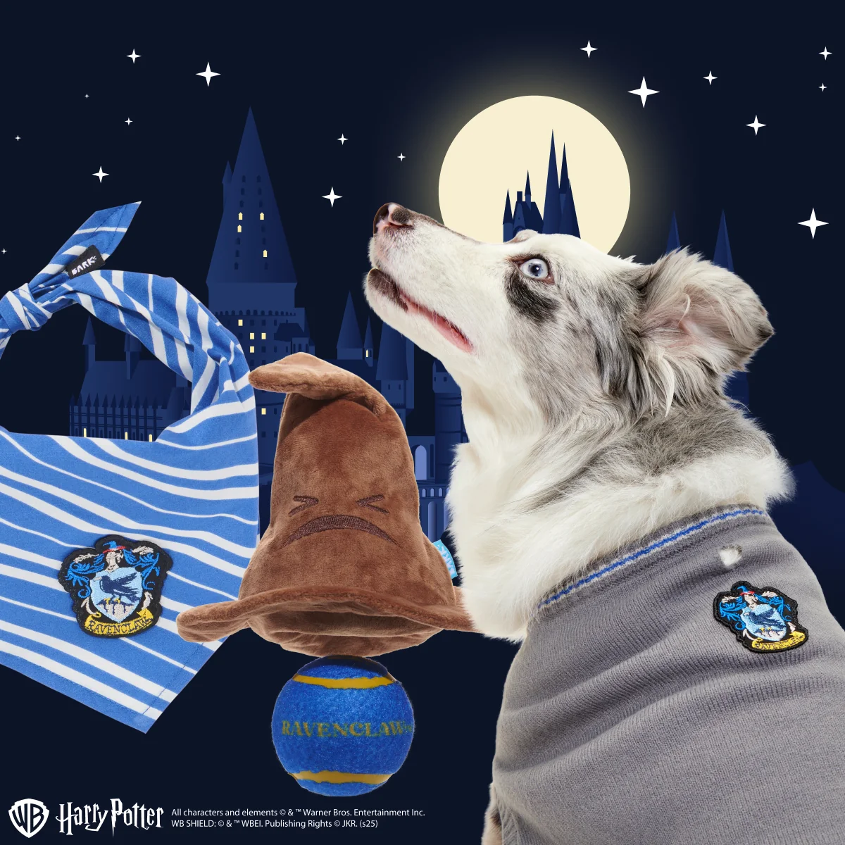 Ravenclaw™  Bundle - Image 3