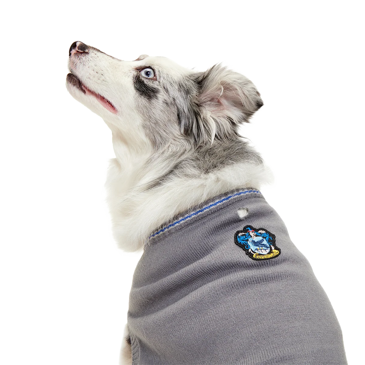 Ravenclaw™  Bundle - Image 7