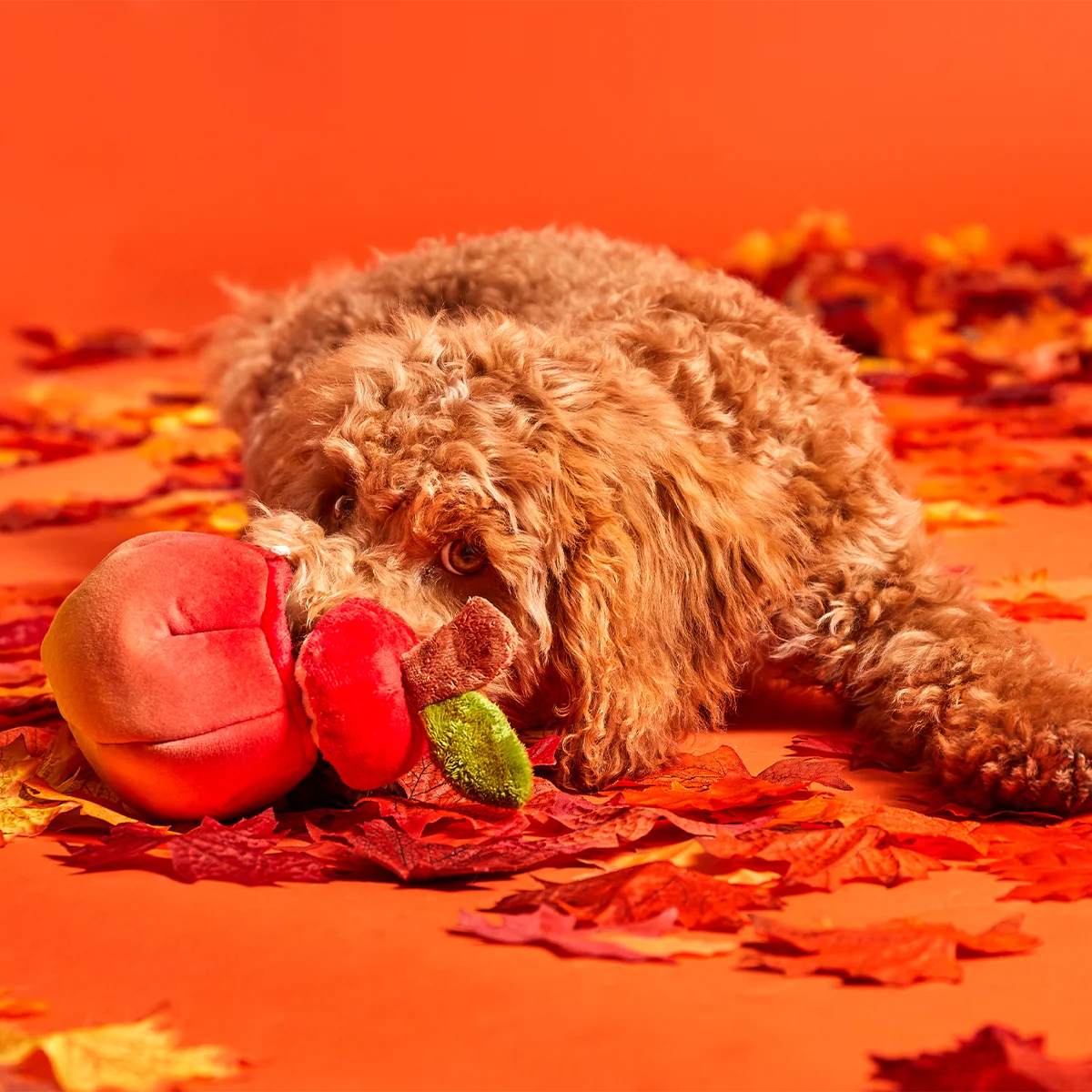 Red Malicious Plush Multi-Part + Enrichment Dog Toy - Image 3