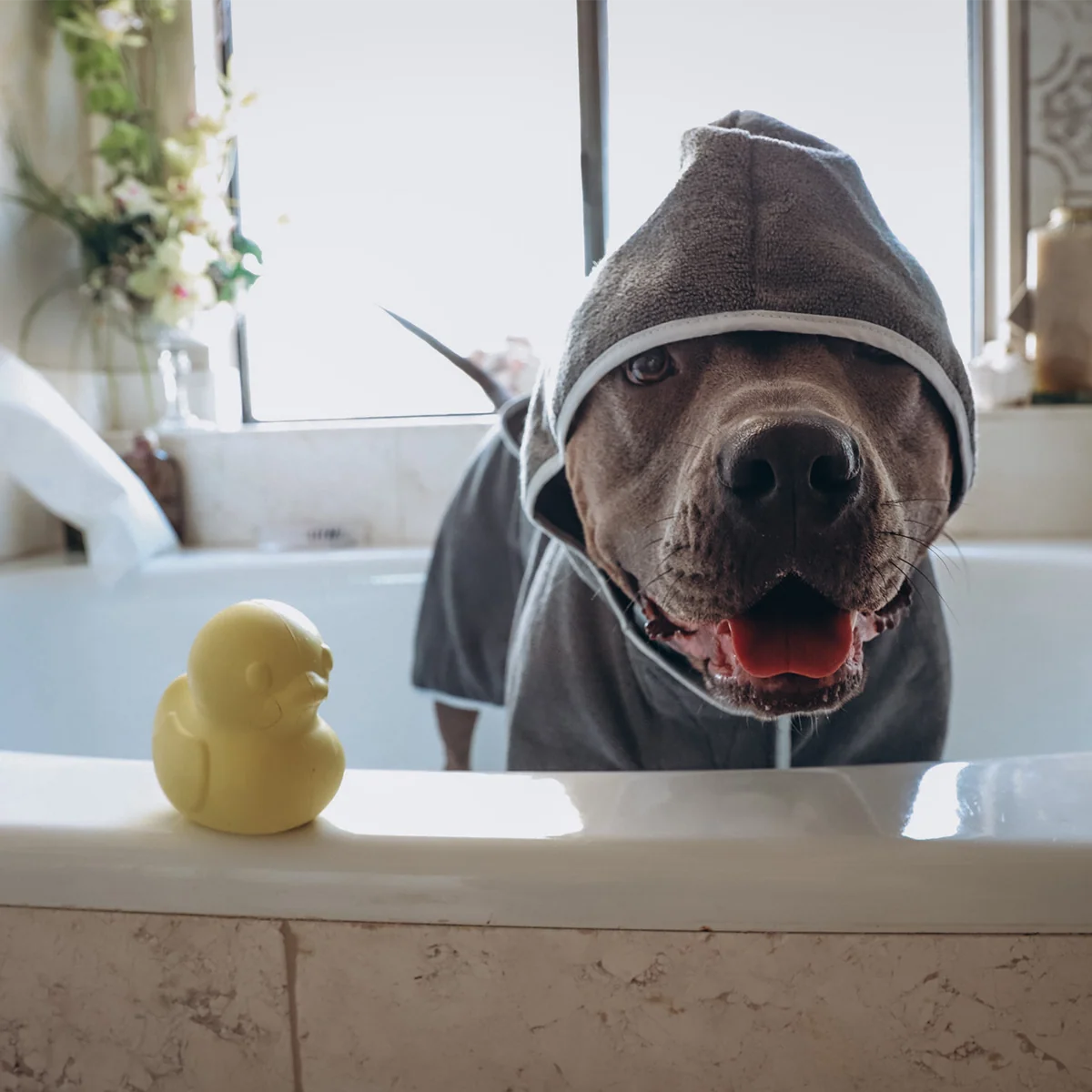 Robe & Duckie Bundle - Image 4