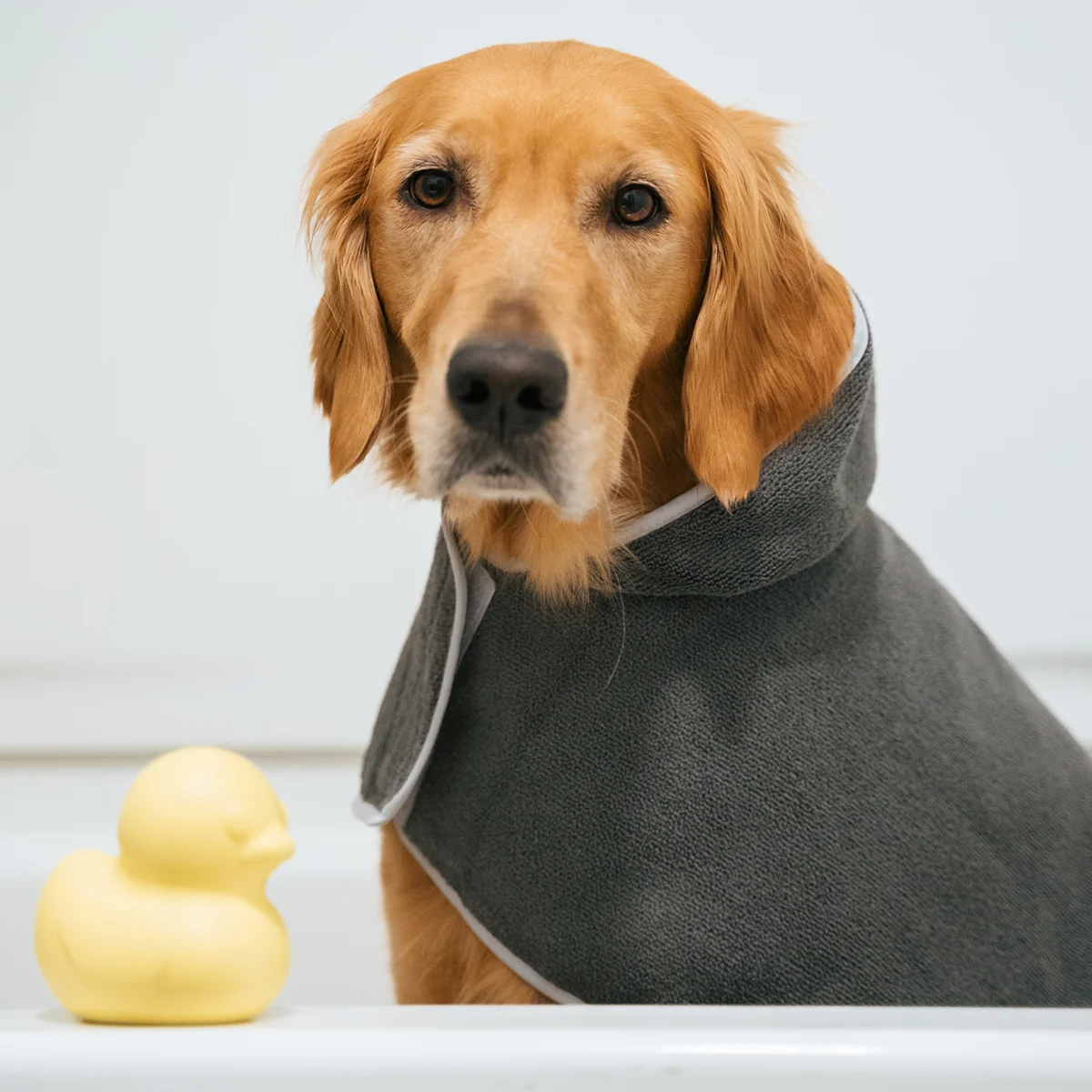 Robe & Duckie Bundle - Image 6