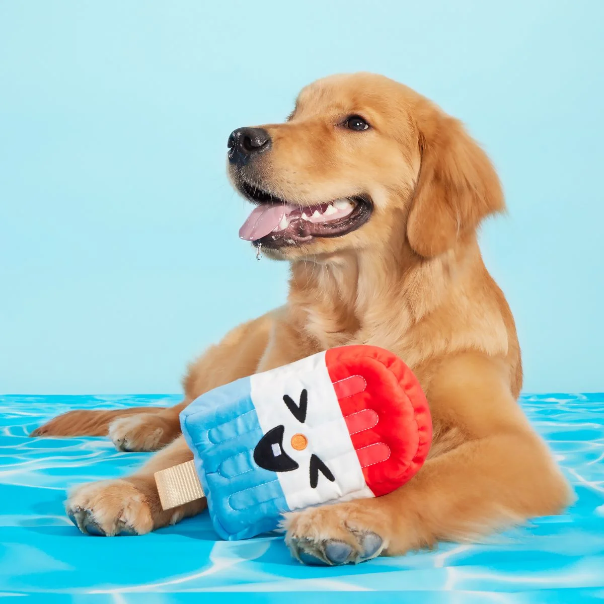 Rocket Droosicle Plush Tug Dog Toy - Image 4