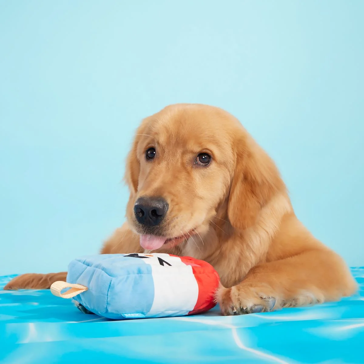 Rocket Droosicle Plush Tug Dog Toy - Image 5