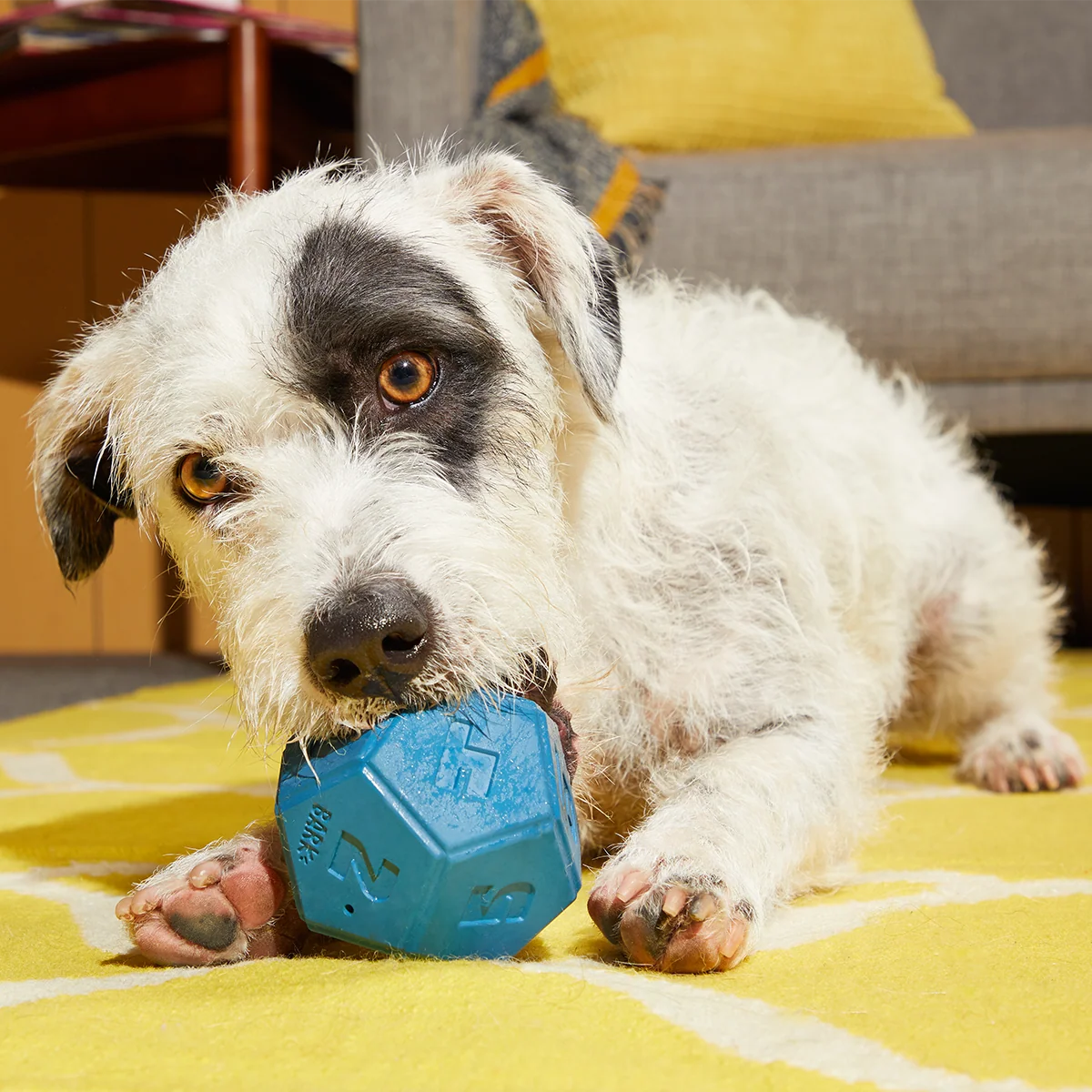 Roll + Play Dice Super Chewer Durable Fetch + Enrichment Dog Toy - Image 4