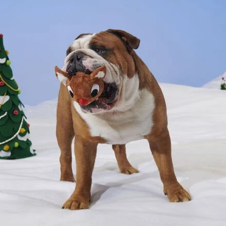 Reindeer Games™ Rudolph® Durable Super Chewer Enrichment + 2-in-1 Rip and Reveal Dog Toy - Image 5