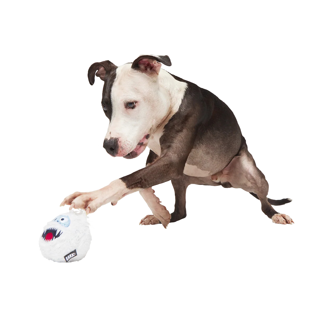 Ruff n' Tumble Bumble™ Super Chewer Durable 2-in-1 + Fetch Dog Toy - Image 2
