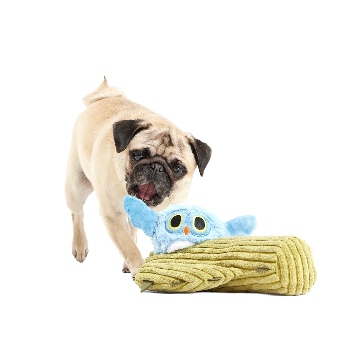 Saguaro Sammy Plush Multi-Part + Tug Dog Toy - Image 3