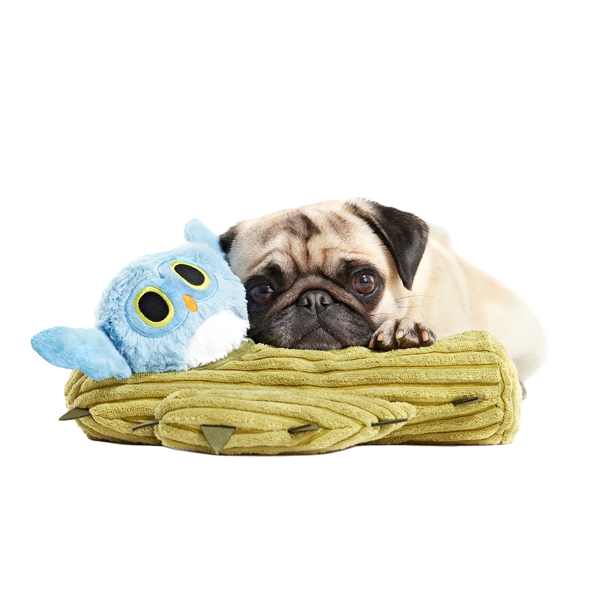 Saguaro Sammy Plush Multi-Part + Tug Dog Toy - Image 4