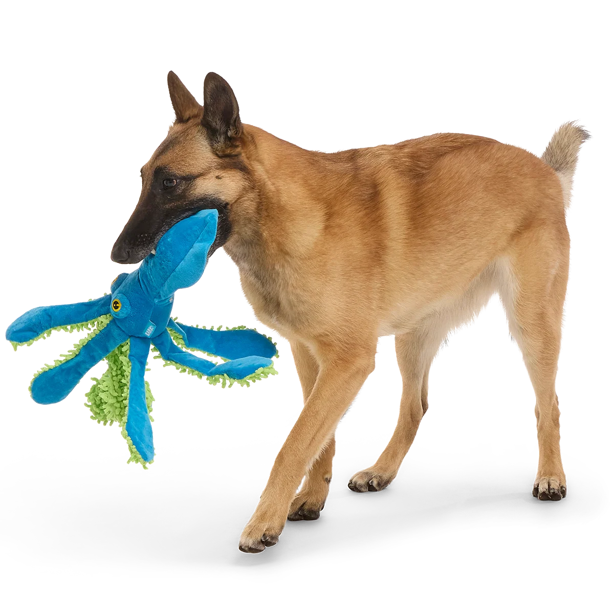 Shifty Sid the Squid Plush Extra-Large + Tug Dog Toy - Image 3