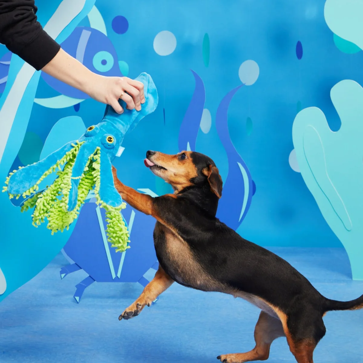 Shifty Sid the Squid Plush Extra-Large + Tug Dog Toy - Image 4