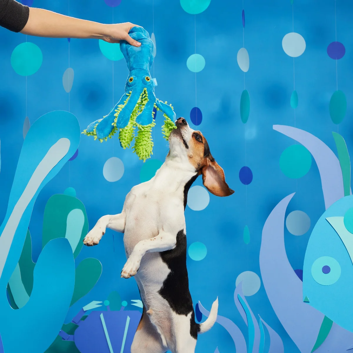 Shifty Sid the Squid Plush Extra-Large + Tug Dog Toy - Image 5
