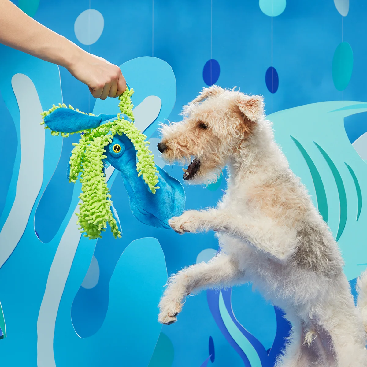 Shifty Sid the Squid Plush Extra-Large + Tug Dog Toy - Image 6