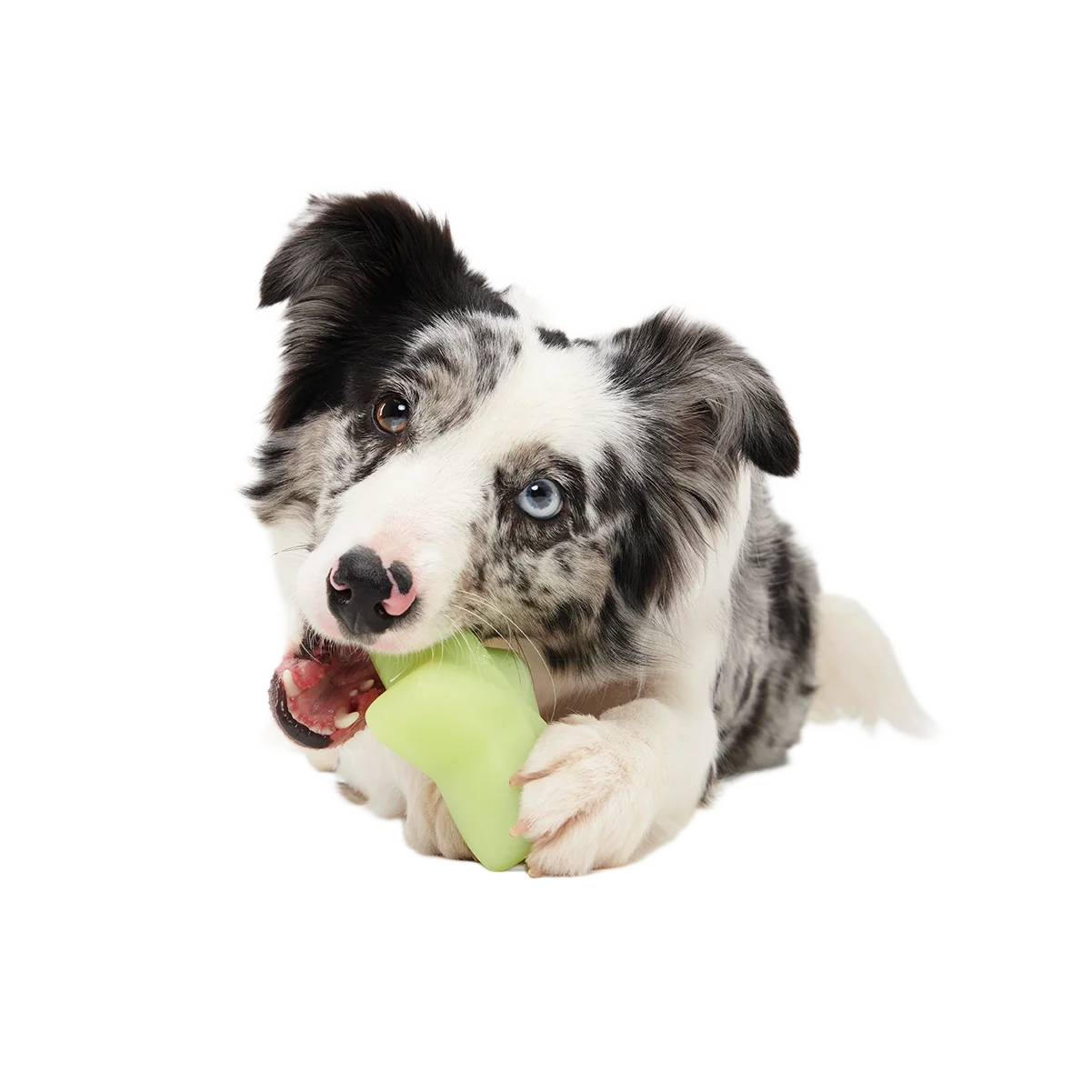 Shooting Starf Super Chewer Durable Gnaw Dog Toy - Image 3