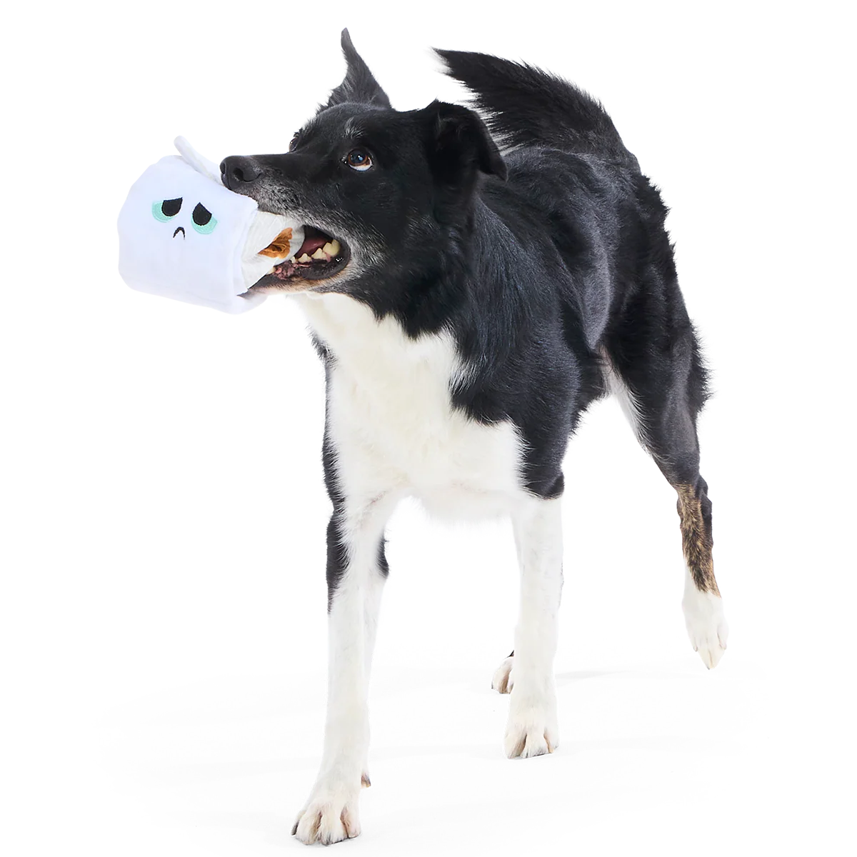 Shred Head Fred Plush Enrichment + Tug Dog Toy - Image 3
