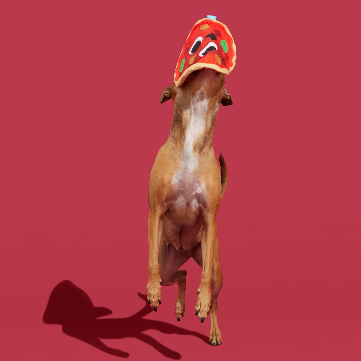 Signore Pizza Face Plush Fetch Dog Toy - Image 4