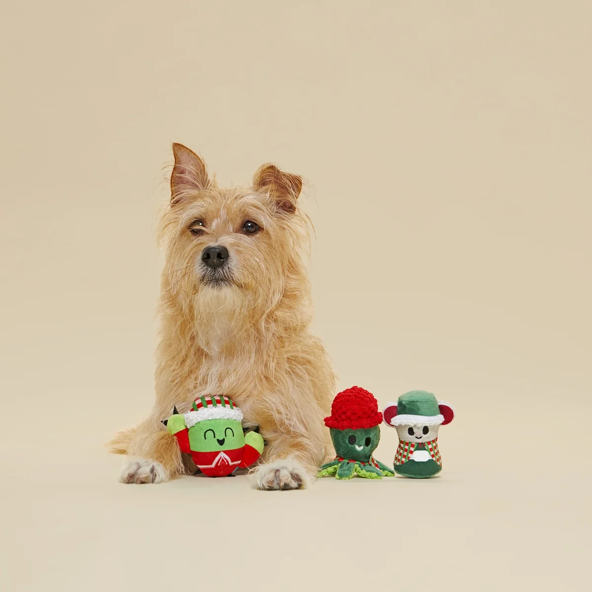 Sing Song Ding Dongs Multipart Plush Multi-Part Dog Toy - Image 4
